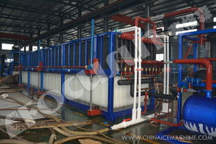 弗格森大型日產250噸鋁板蒸發(fā)式直冷塊冰機 長期供應全球大型制冰工廠