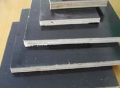 中通建材 構筑未來的堅固基石